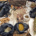 Ancient Uses of Traditional Herbs Across Cultures