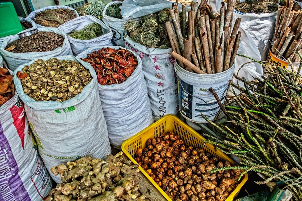 Ancient Uses Of Traditional Herbs Across Cultures