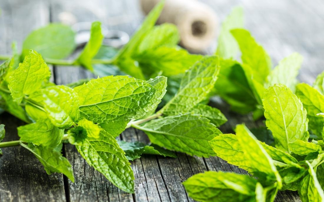 Common Culinary Herbs with Medicinal Properties