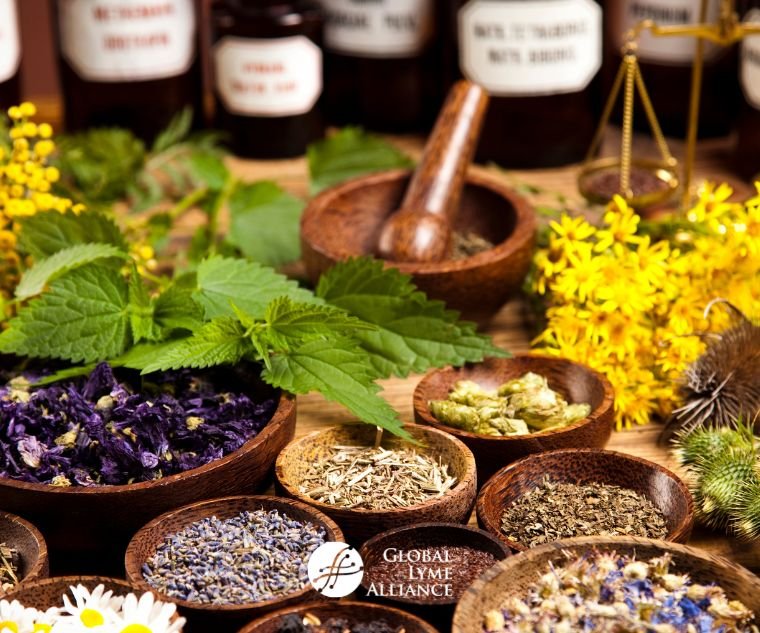 Modern Applications of Botanical Medicine in Wellness