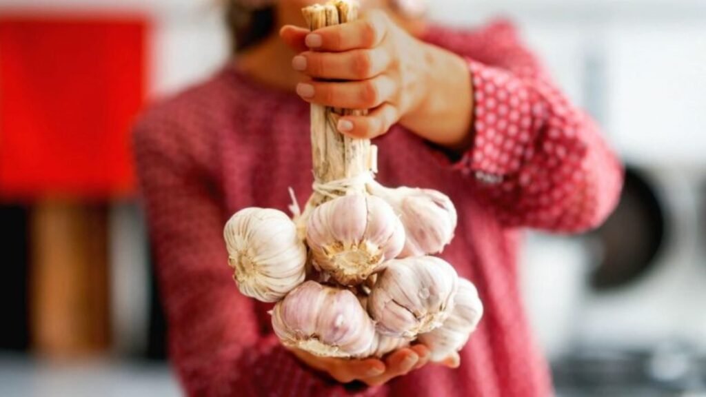 Garlic as a Natural Antibiotic