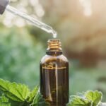 How Herbalists Create Tinctures