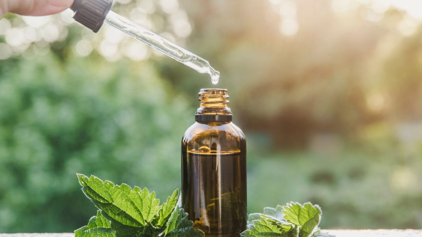 How Herbalists Create Tinctures