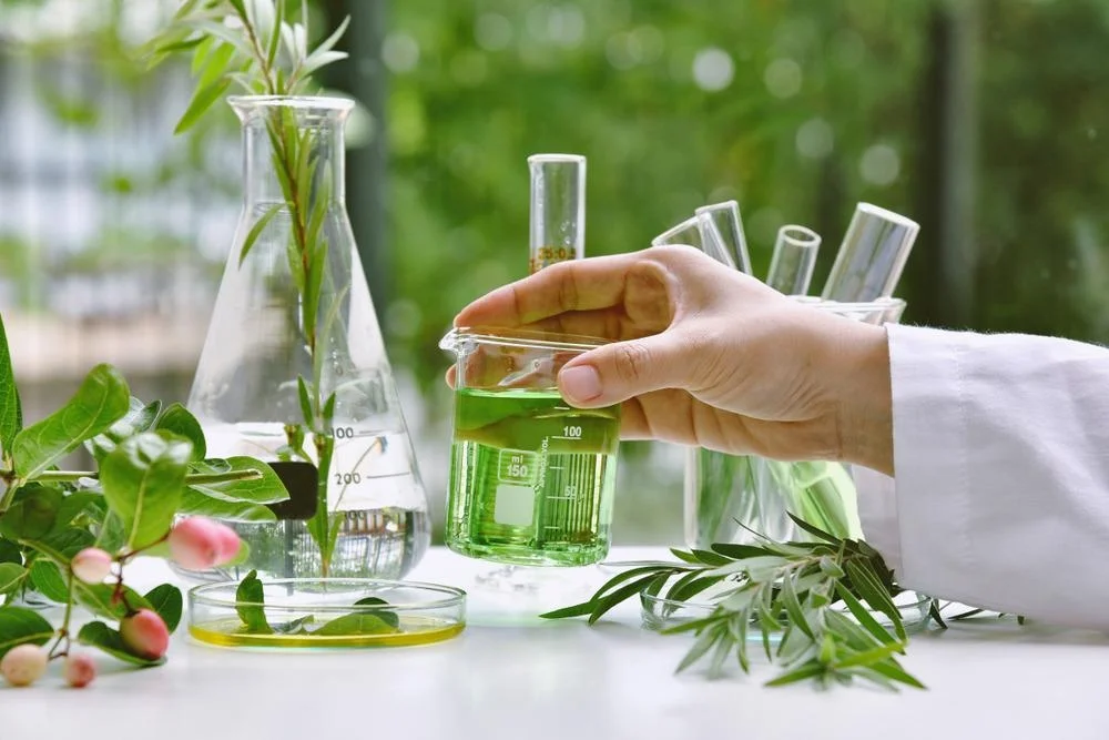 How Plants Contribute to Modern Medicine