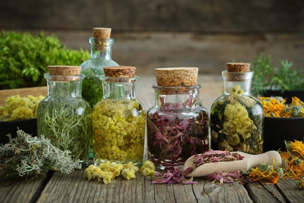 How to Identify and Use Local Traditional Herbs