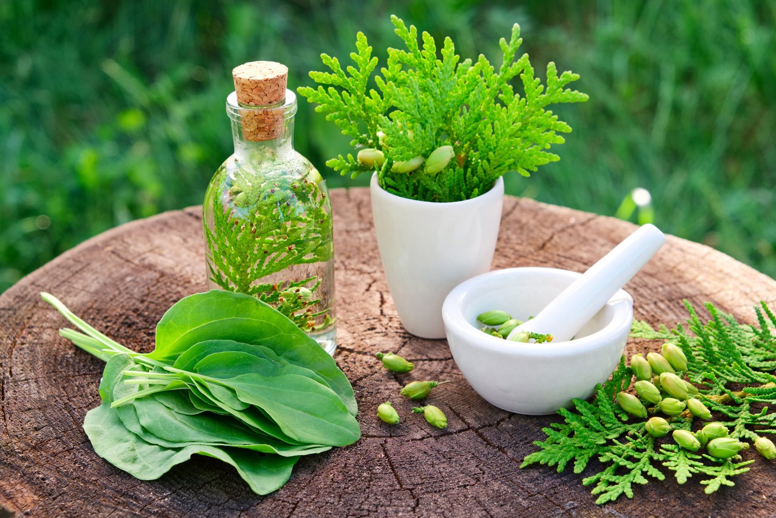 How to Safely Use Botanical Remedies