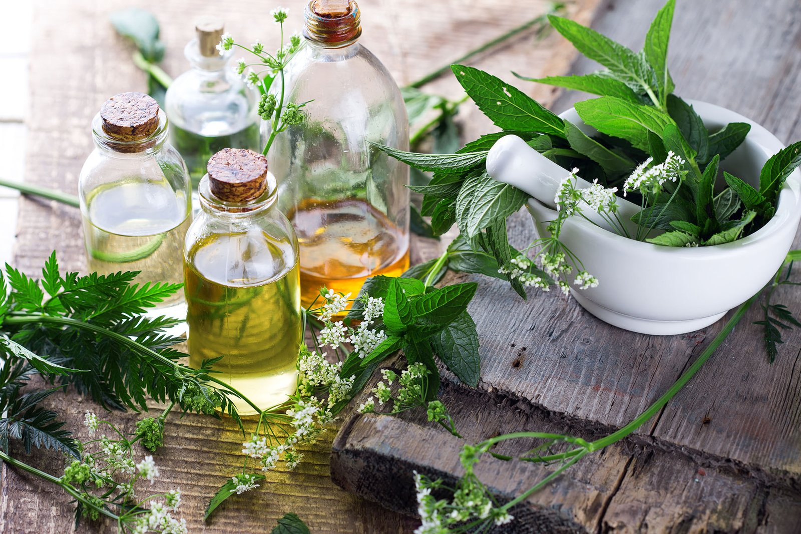 How to Safely Use Botanical Remedies