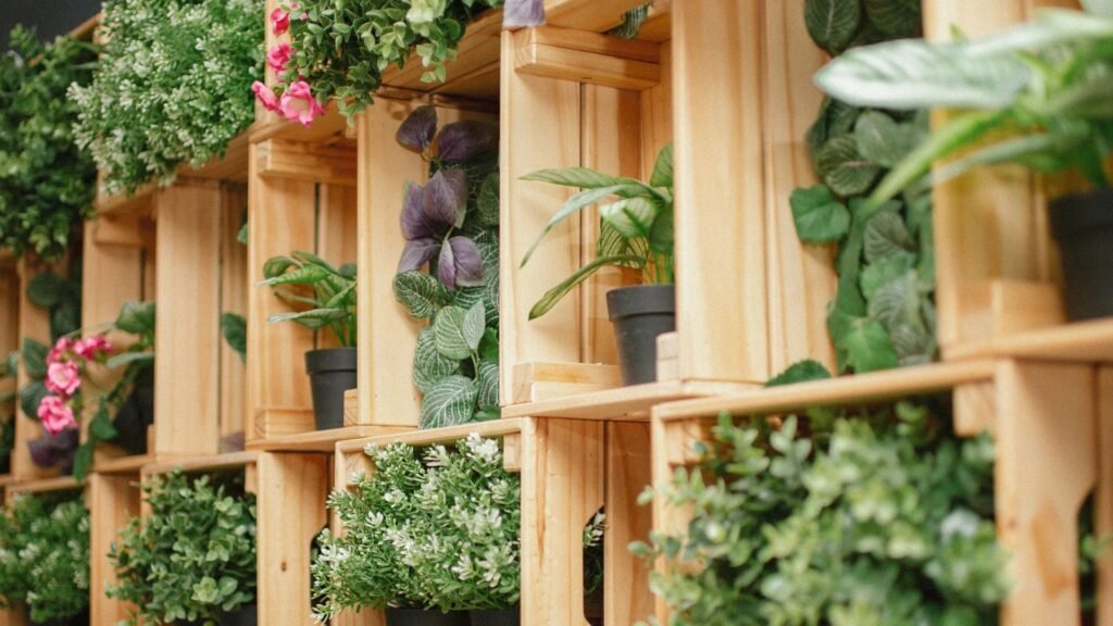 Indoor Plants for Small Spaces