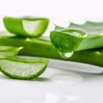 Medicinal Uses of Aloe Vera