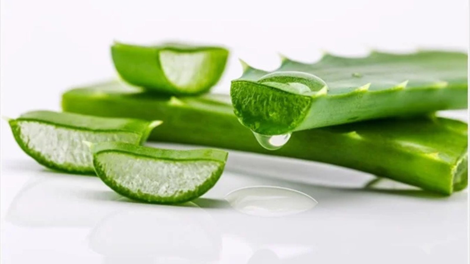 Medicinal Uses of Aloe Vera