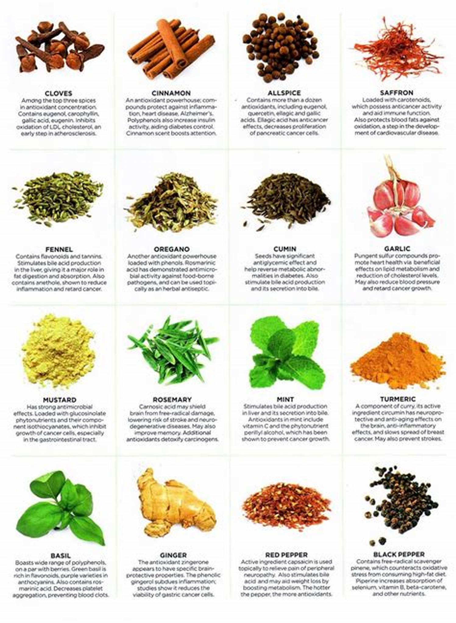 Medicinal Plants for Everyday Ailments