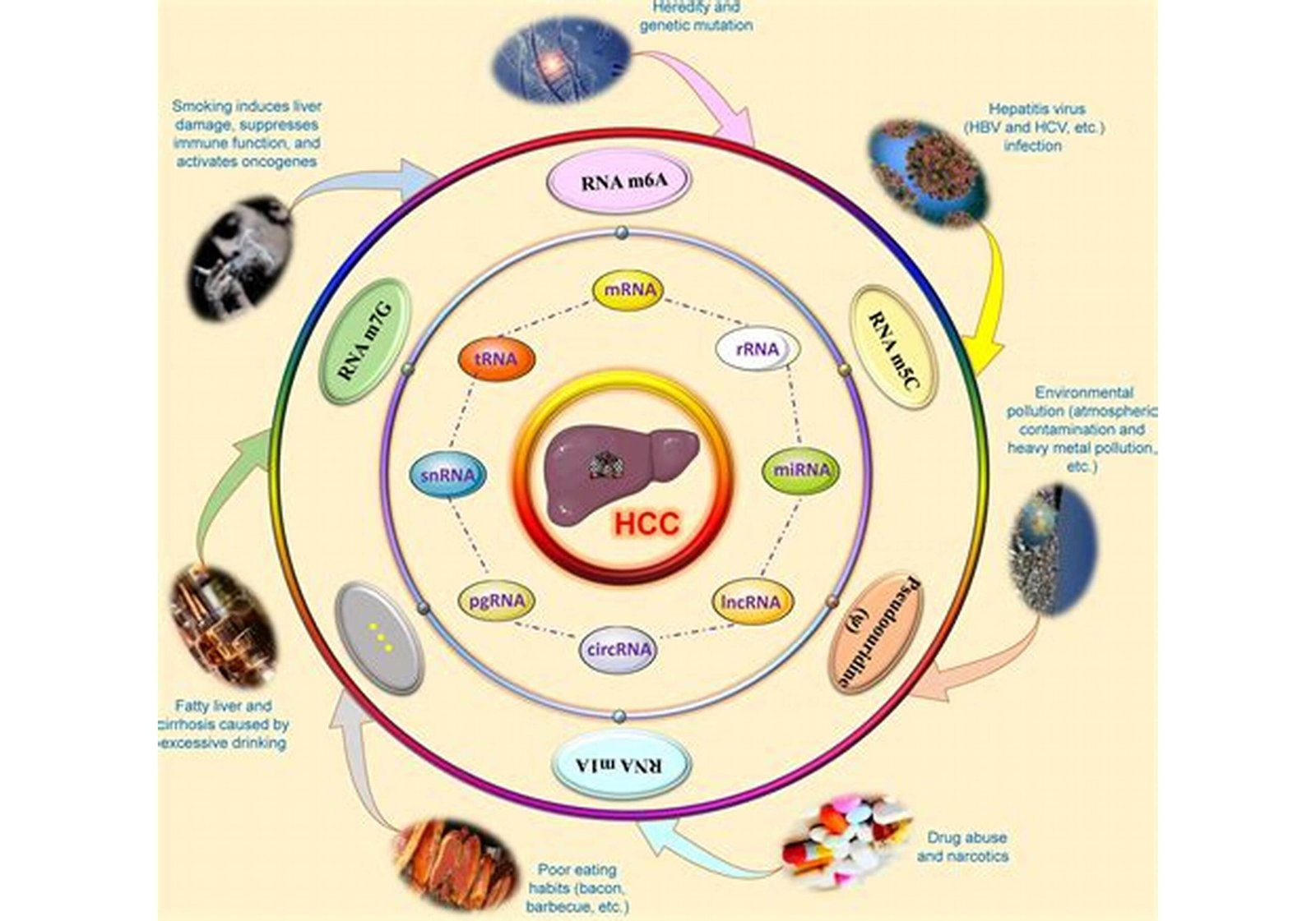 How to Identify Medicinal Plants in Nature