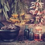 The History of Medicinal Plants in Healing Practices