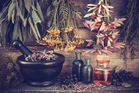 The History of Medicinal Plants in Healing Practices