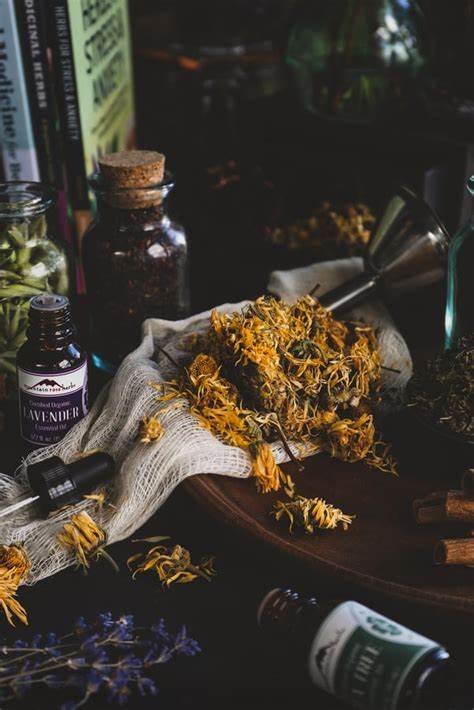 What Does an Herbalist Do? A Beginner’s Guide