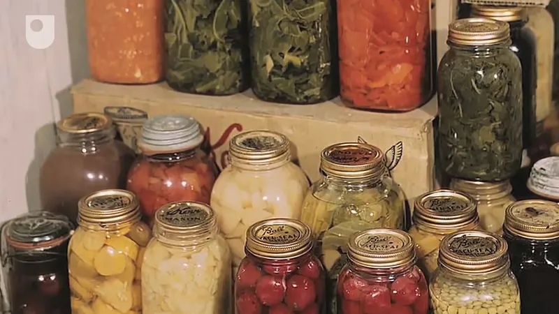 Preserving and Storing Traditional Herbs Effectively