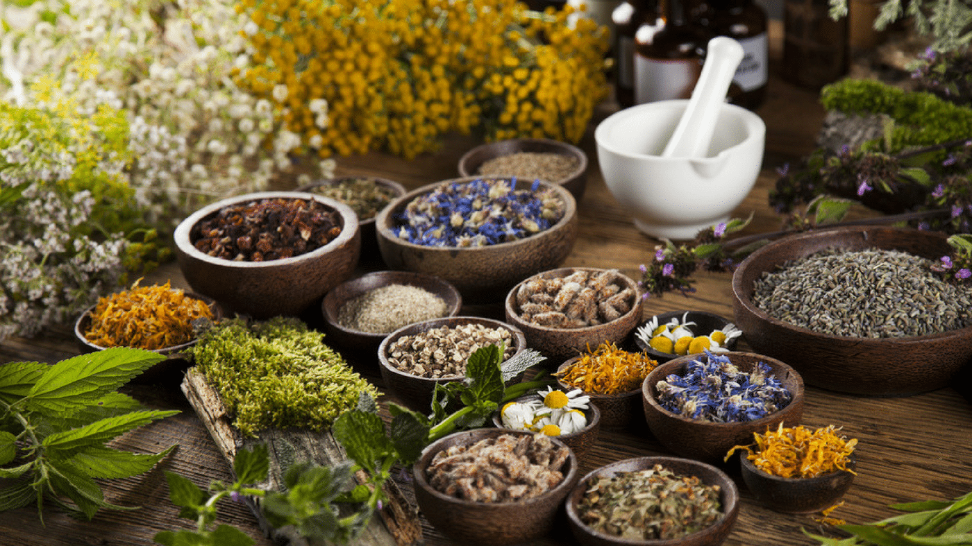 The History of Medicinal Plants in Healing Practices