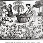 Famous Herbalists in History and Their Contributions