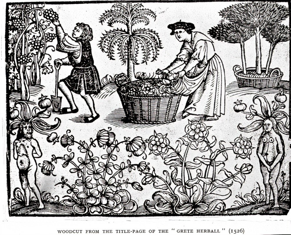 Famous Herbalists in History and Their Contributions