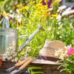 Seasonal Gardening Tips