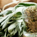 Seasonal Herbs: Benefits of Fresh vs. Dried