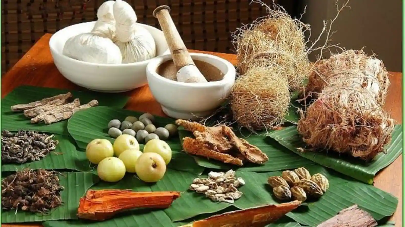 The Healing Power of Traditional Indian Herbs