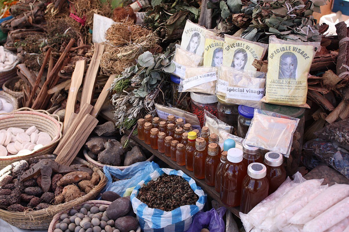 The Role of Herbalists in Preserving Indigenous Knowledge