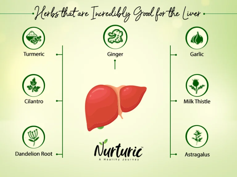 How to Identify Medicinal Plants in Nature