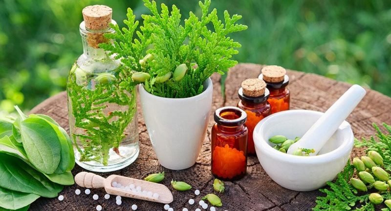 Safe Usage Tips for Botanical Medicines